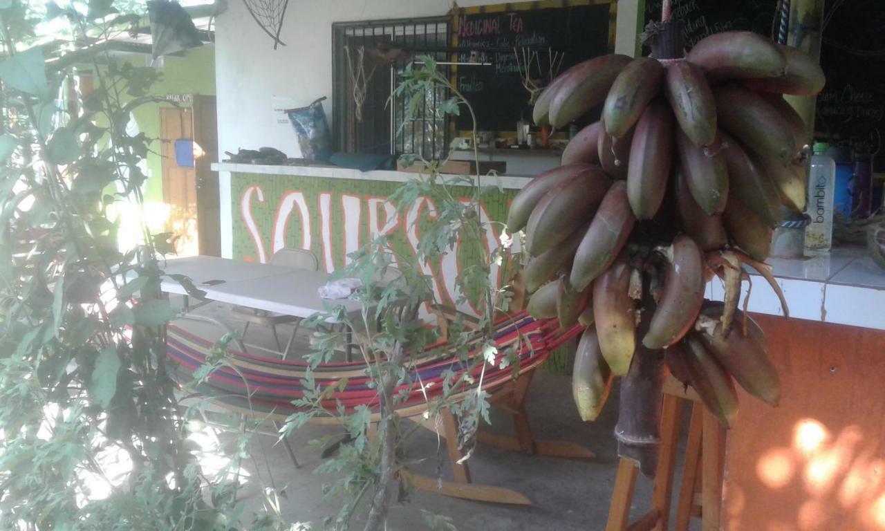 Soursop Hostel Cueta エクステリア 写真