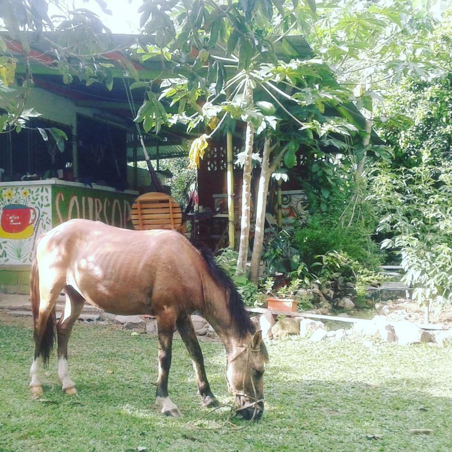 Soursop Hostel Cueta エクステリア 写真